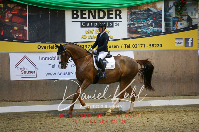 IMG_3007 | Turnierfotos kaufen im Webshop von Daniel Kuhl Photography – entdecke professionelle Reitsportfotos aus Turnieren & Events. Hochwertige Turnierbilder online bestellen & sichern. Jetzt Fotos von Reitsportturnieren kaufen!