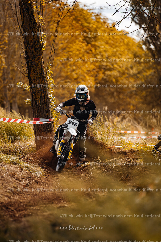 E68A2287 | blick_win_kel