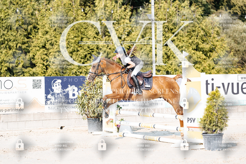 CK902731 | Turnierfotografie Pferdefotografie Trier Rheinland-Pfalz Pferdesport Reitsport Tierfotografie Sportfotografie Pferdevideo Pferdevideografie Equestrianvideography equestrianphotography  - Realisiert mit Pictrs.com