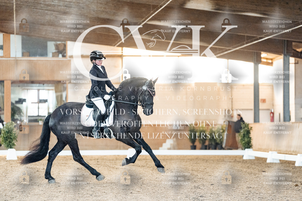 CK906511 | Turnierfotografie Pferdefotografie Trier Rheinland-Pfalz Pferdesport Reitsport Tierfotografie Sportfotografie Pferdevideo Pferdevideografie Equestrianvideography equestrianphotography  - Realized with Pictrs.com