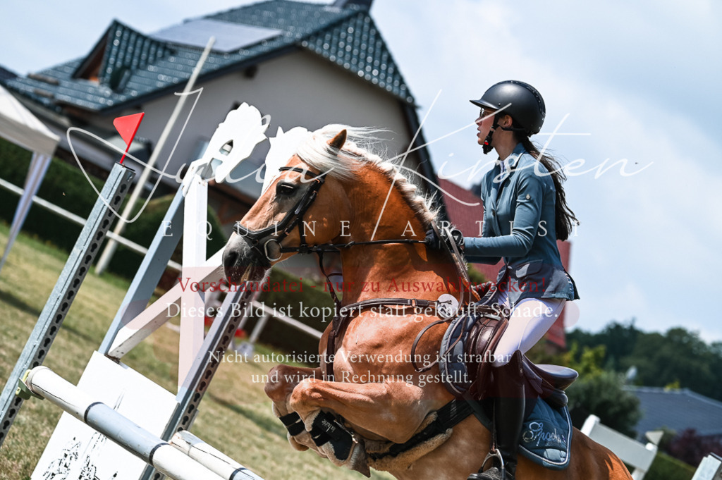 DSC_8790 | Pferde- und Turnierfotografie in Westsachsen. Pferdeportraits, Auftragszeichnungen und intuitive Kunst.