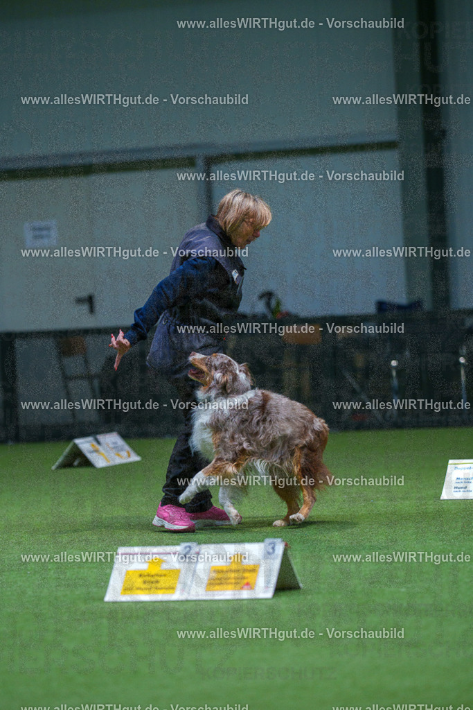 7R506373 | Professionelle Tierfotografie in Mönchengladbach von Daniel Wirth (allesWIRTHgut). Liebevolle & natürliche Bilder von Hunden & Katzen für unvergessliche Erinnerungen.