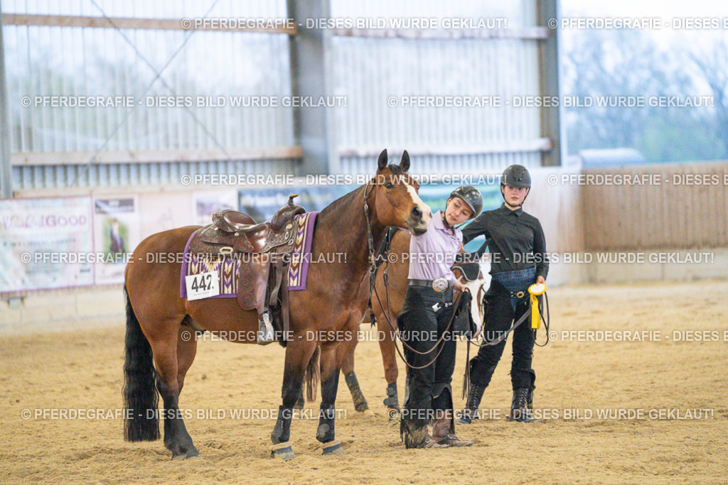 DSC09584 | Pferdegrafie