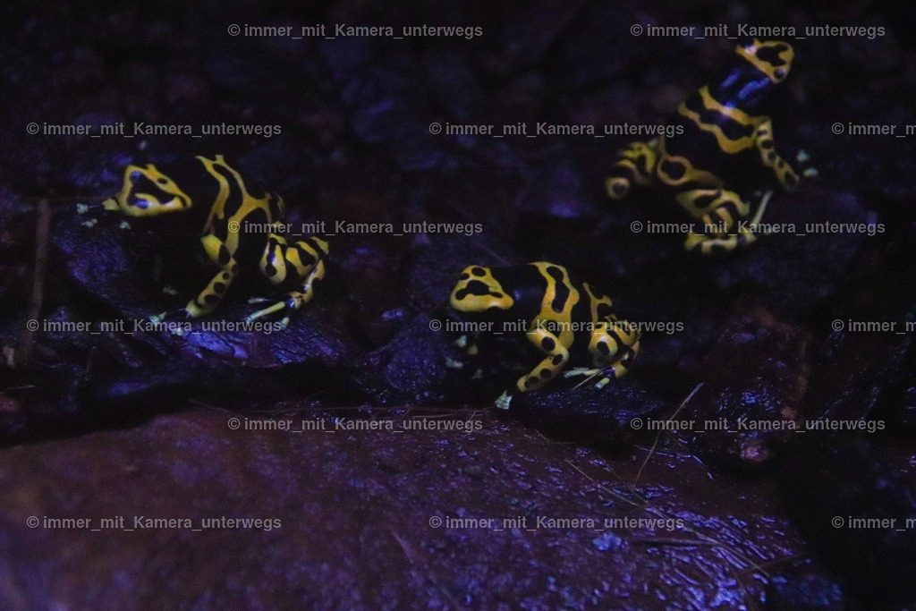 IMG_6170 | immer_mit_kamera_unterwegs