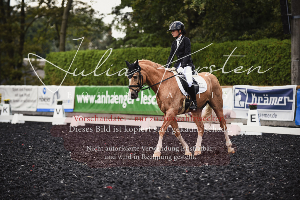 DSC_3825 | Pferde- und Turnierfotografie in Westsachsen. Pferdeportraits, Auftragszeichnungen und intuitive Kunst.