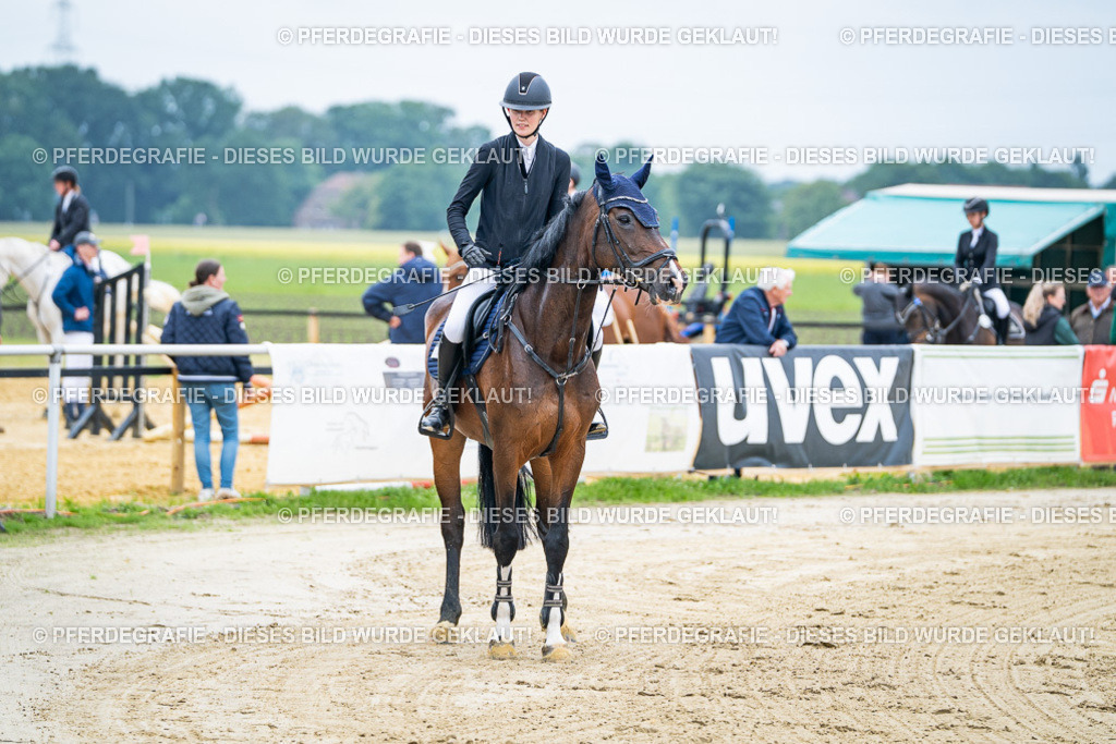 DSC03467 | Pferdegrafie