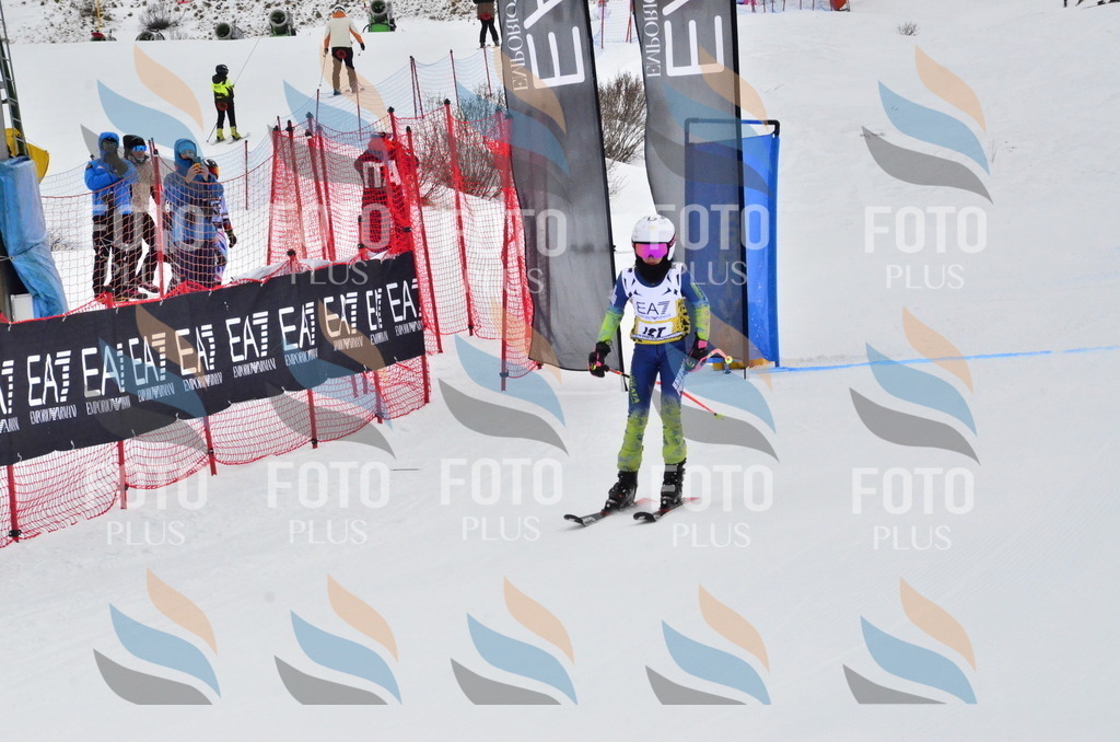 _ELE3690 | holidayphoto