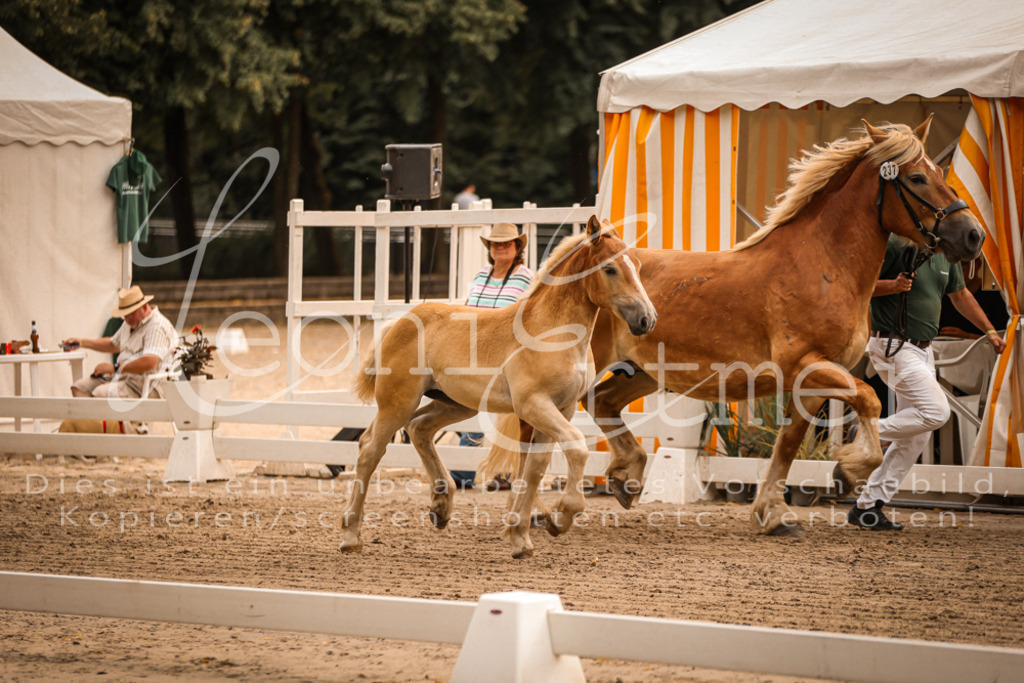 SaSF00103 | Leoni Ertmer Photography - Realisiert mit Pictrs.com