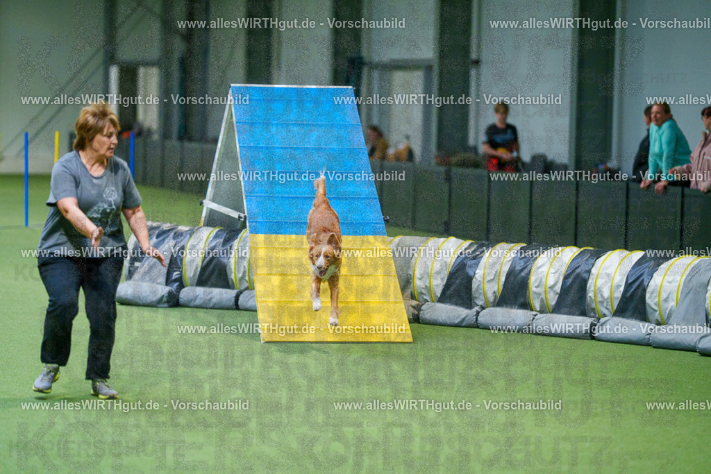 @allesWIRTHgut_Tierfotografie - www.allesWIRTHgut.de - 2604250824-7R506445 | Professionelle Tierfotografie in Mönchengladbach von Daniel Wirth (allesWIRTHgut). Liebevolle & natürliche Bilder von Hunden & Katzen für unvergessliche Erinnerungen.