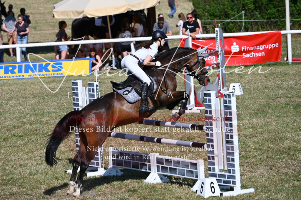 DSC_2057 | Pferde- und Turnierfotografie in Westsachsen. Pferdeportraits, Auftragszeichnungen und intuitive Kunst.
