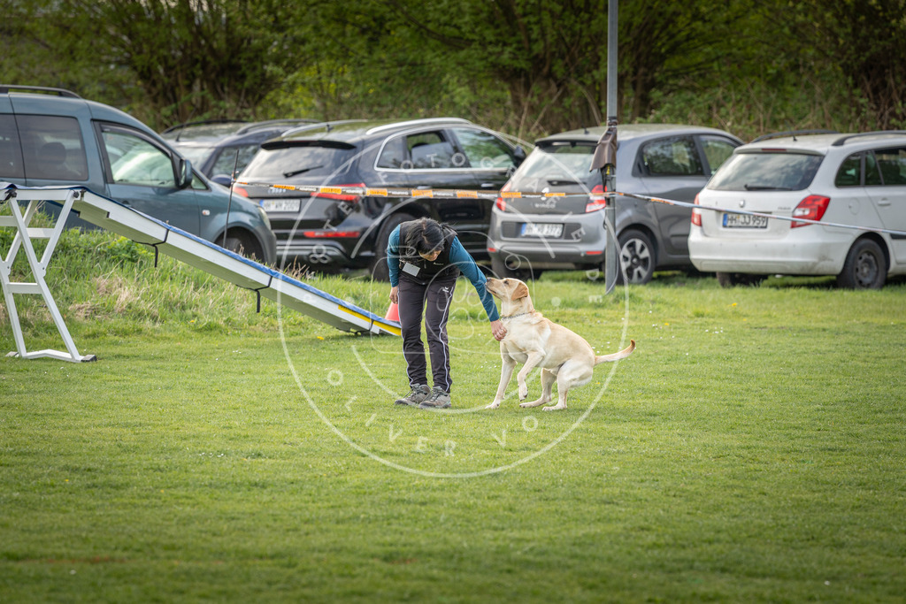 Pfotenfotografie_DV3A4927 | Hundefotografie, Tierfotograf, Pfotenfotografie, Fotoshooting Hund, Hunde Portrait, Hundesport, Hundeportraits, Heideshooting, Hunde, Sportfotograf, Hundefotograf, Turnierhundsport, THS,  - Realisiert mit Pictrs.com