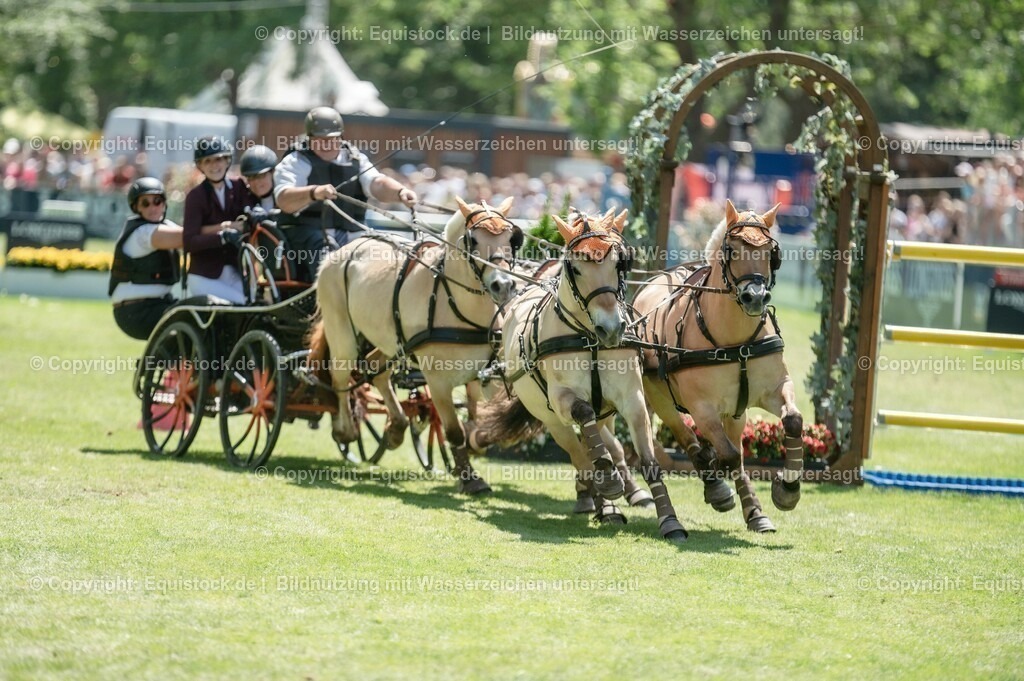 20230528_Jump-and-Drive_0148 | equistock
