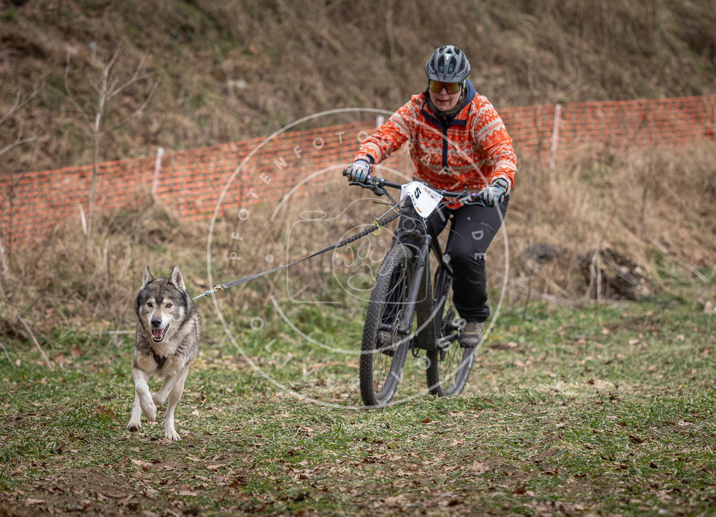 Pfotenfotografie_DV3A6291 | Hundefotografie, Tierfotograf, Pfotenfotografie, Fotoshooting Hund, Hunde Portrait, Hundesport, Hundeportraits, Heideshooting, Hunde, Sportfotograf, Hundefotograf, Turnierhundsport, THS,  - Realisiert mit Pictrs.com