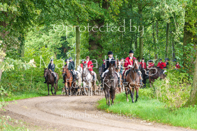 Jagd Perdoel 26 Sony-03899_MarinaHewig | Fotografie, FotoArt, PferdesportArt, Pferdesportfotografie, Landschaftsfotografie, Reisefotografie, Reise, Pferde - Realisiert mit Pictrs.com