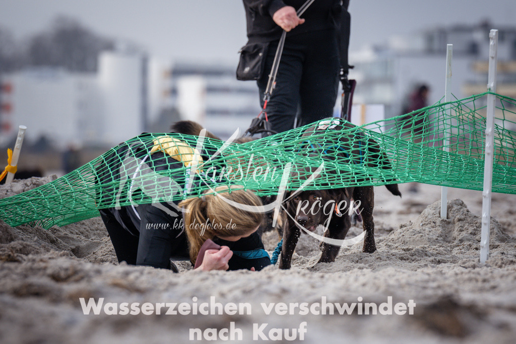 1132_ZZ99321 | kk-dogfotos