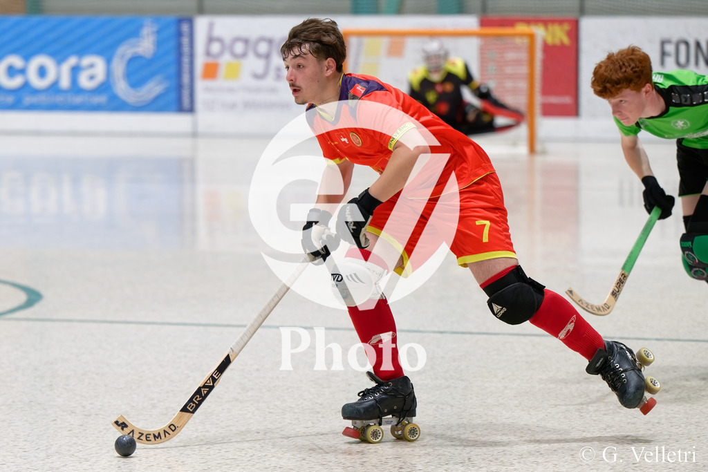 DSC_2223 | Velletri Photo