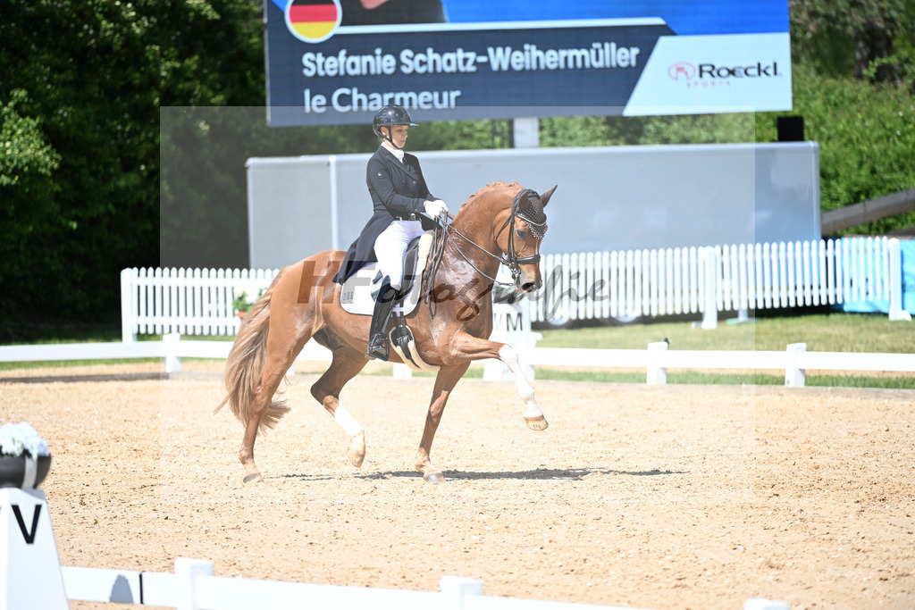 Schatz-Weihermueller_Le Charmeur_11252352 | hf-fotografie - Realizzato con Pictrs.com