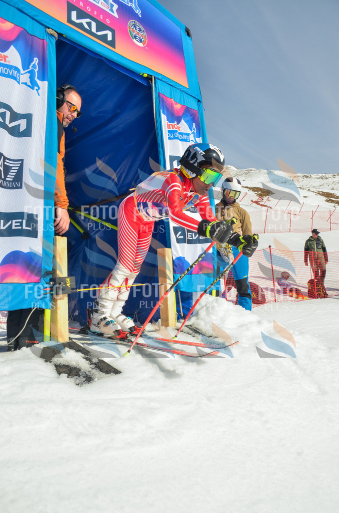 _ELE4272 | holidayphoto