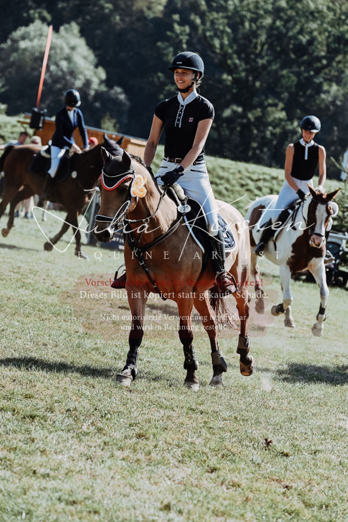 DSC_6222 | Pferde- und Turnierfotografie in Westsachsen. Pferdeportraits, Auftragszeichnungen und intuitive Kunst.