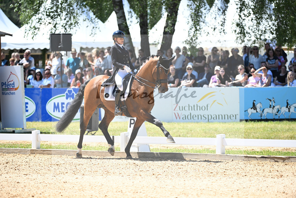 Reichert_Valverde NRW_11253162 | hf-fotografie - Realisiert mit Pictrs.com