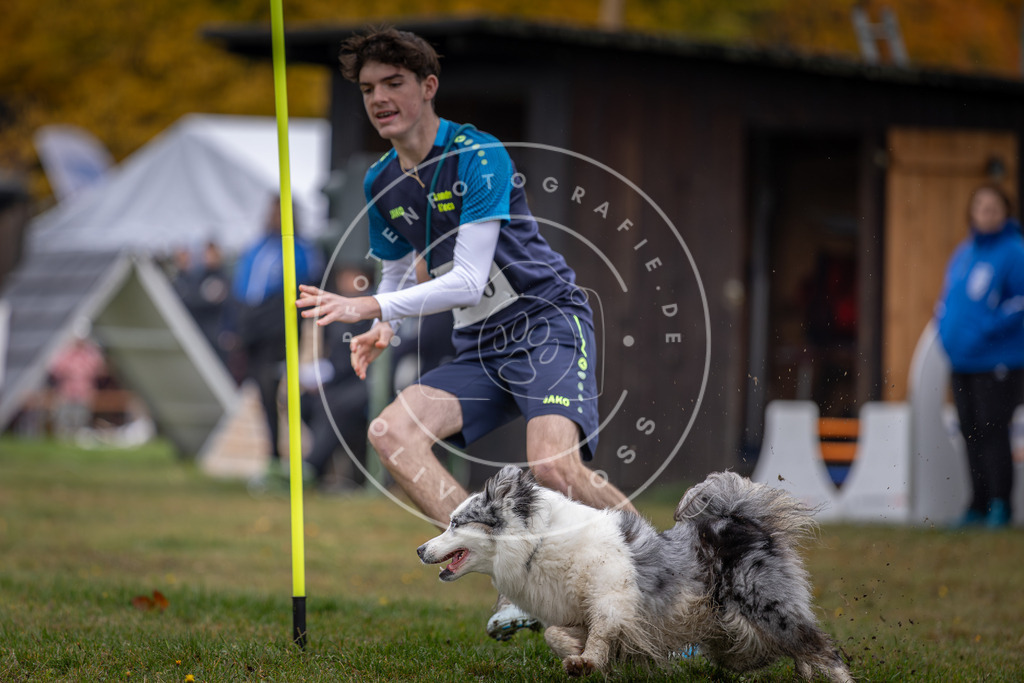 Pfotenfotografie_DV3A0847 | Hundefotografie, Tierfotograf, Pfotenfotografie, Fotoshooting Hund, Hunde Portrait, Hundesport, Hundeportraits, Heideshooting, Hunde, Sportfotograf, Hundefotograf, Turnierhundsport, THS,  - Realisiert mit Pictrs.com