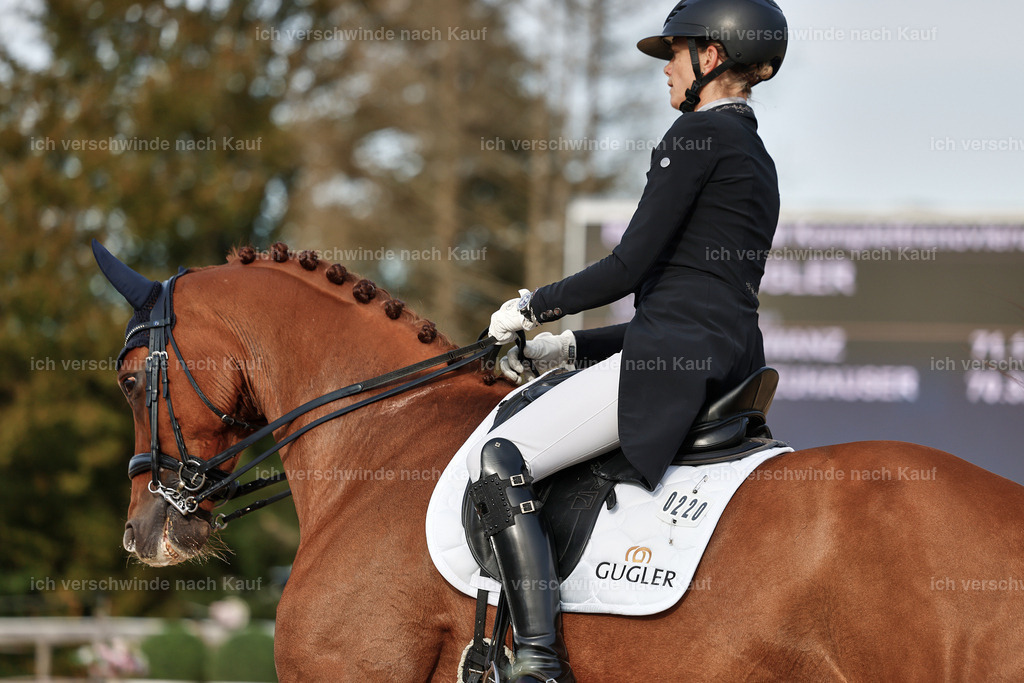 13-220-S___ -StoibPH-6960 | working equitationturnier fotograf videograf stoibphotography marixx film working equitation deutschland reitsport turnierfotografie eventfotografie equestrian events