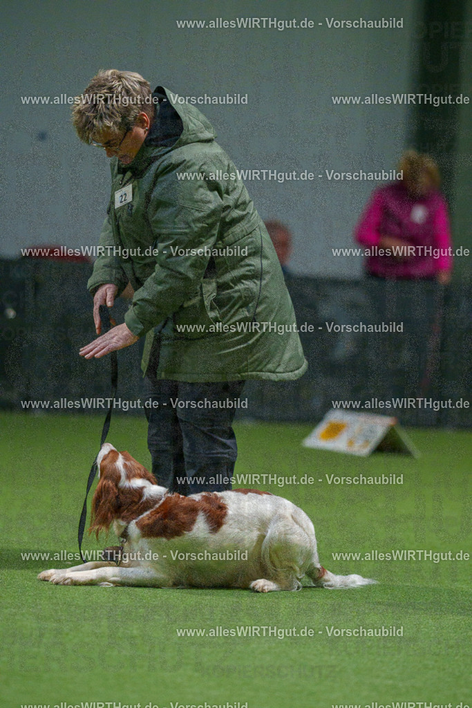 7R504809 | Professionelle Tierfotografie in Mönchengladbach von Daniel Wirth (allesWIRTHgut). Liebevolle & natürliche Bilder von Hunden & Katzen für unvergessliche Erinnerungen.