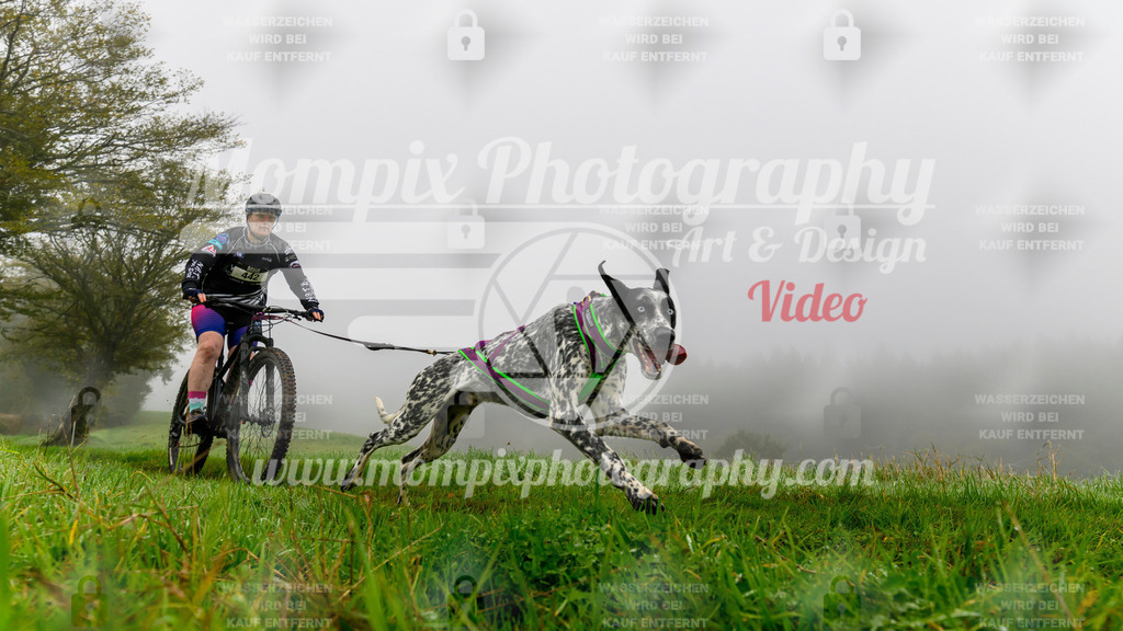 MompixPhotography_20TSB_E5_Bike-130 | PayLife