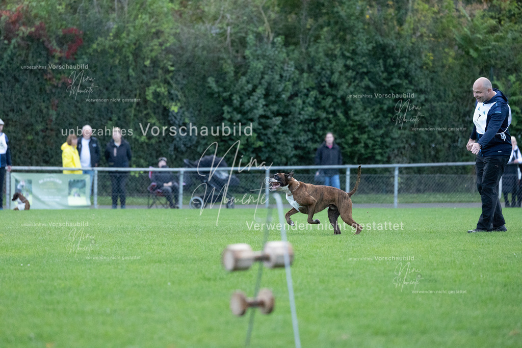 _16A4485 | Einzigartige Fotos von Hunden & Menschen –Actionfotos, Portraits, Vereinsaufnahmen & Paarshootings – authentisch, lebendig & mit Herz.
