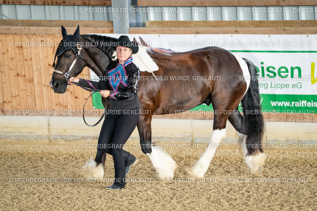 DSC07518 | Pferdegrafie