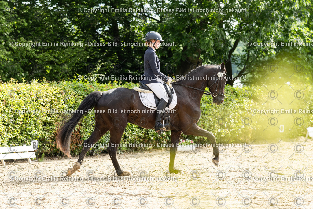 CL5A4410 | Emilia Reinking Fotografie - Realisiert mit Pictrs.com