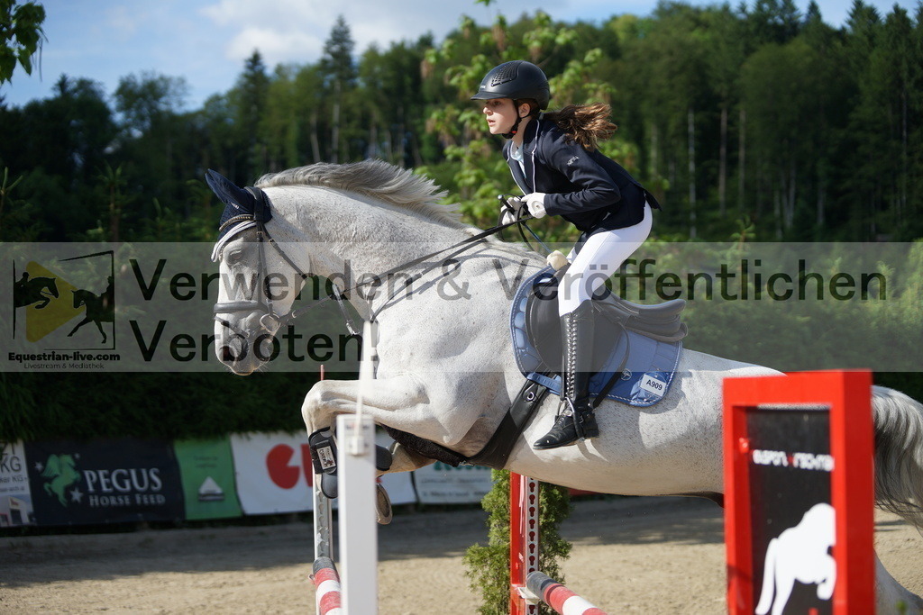 DSC08515 | equestrian-live-com