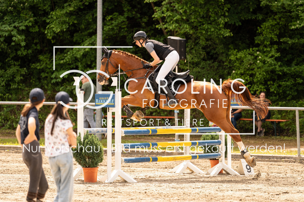 DSC02466 | Carolin Gieschke