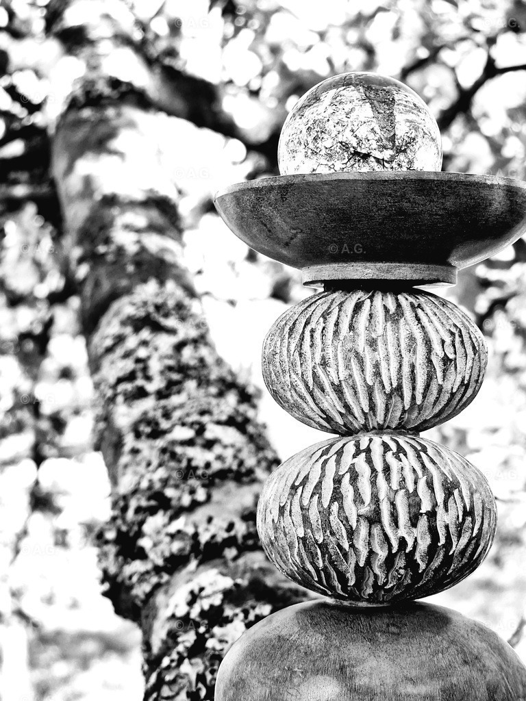 20220421_121823 | aileen-glaeser - Realisiert mit Pictrs.com