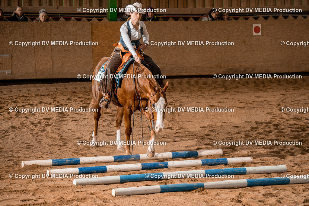 BA400766 | dv-media-shop - Realisiert mit Pictrs.com