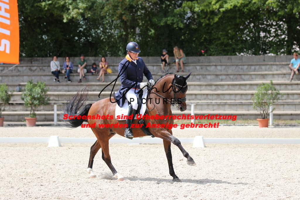 IMG_1900 | lmwpictures - Realisiert mit Pictrs.com