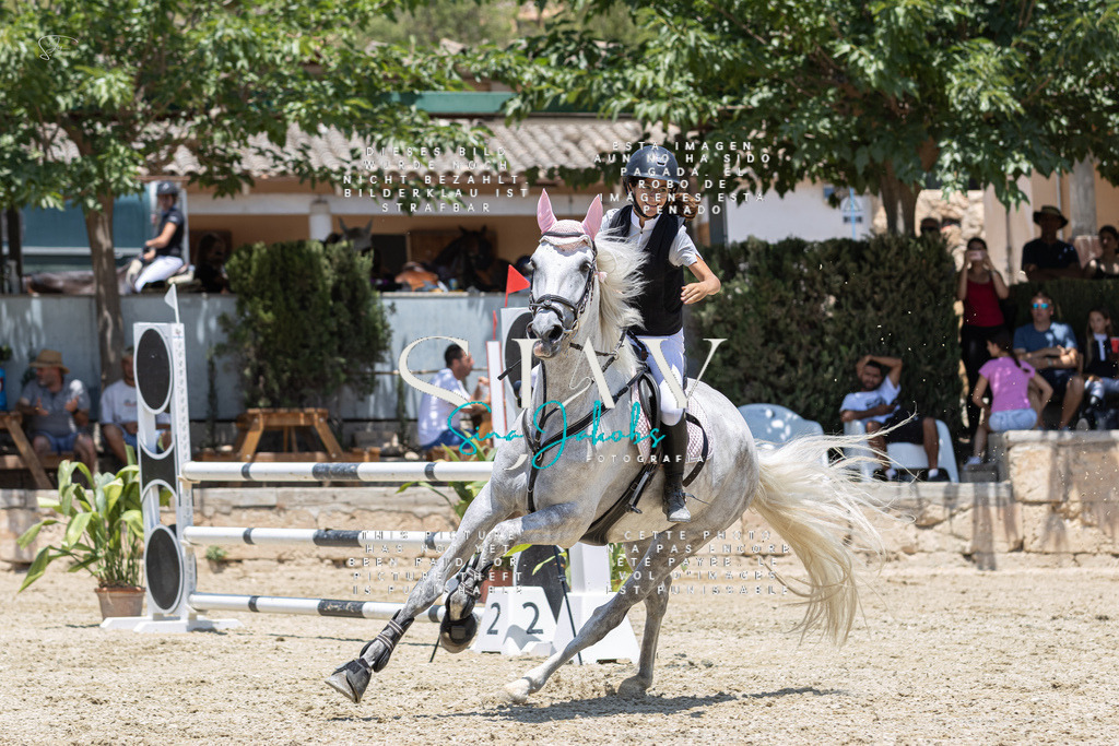 IMG_7088 | s-jay-photography - Realisiert mit Pictrs.com