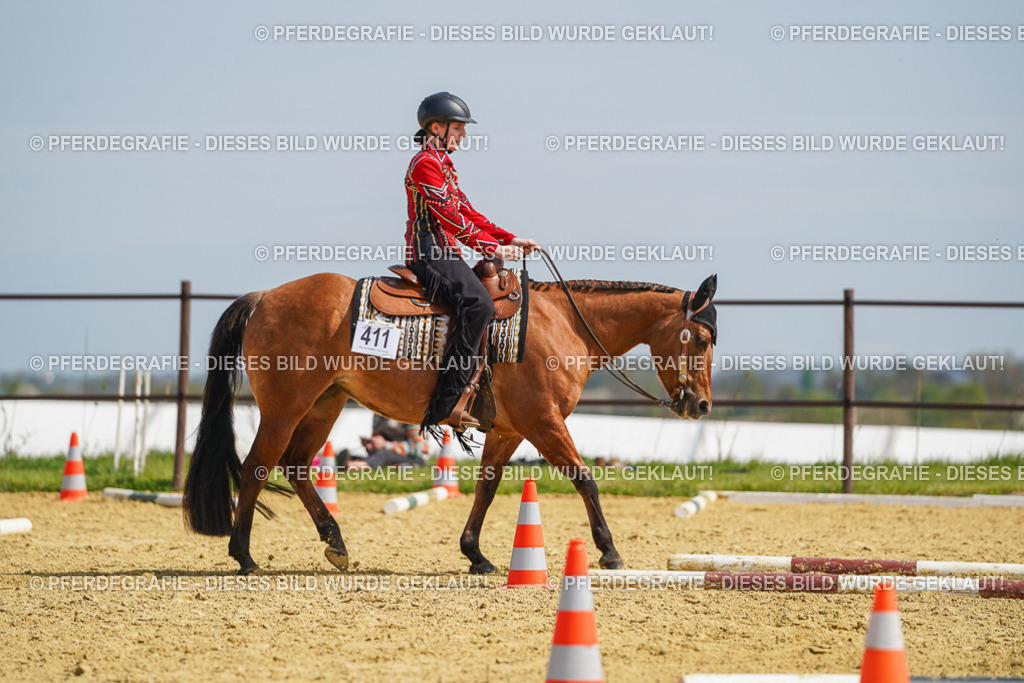 DSC04513 | Pferdegrafie