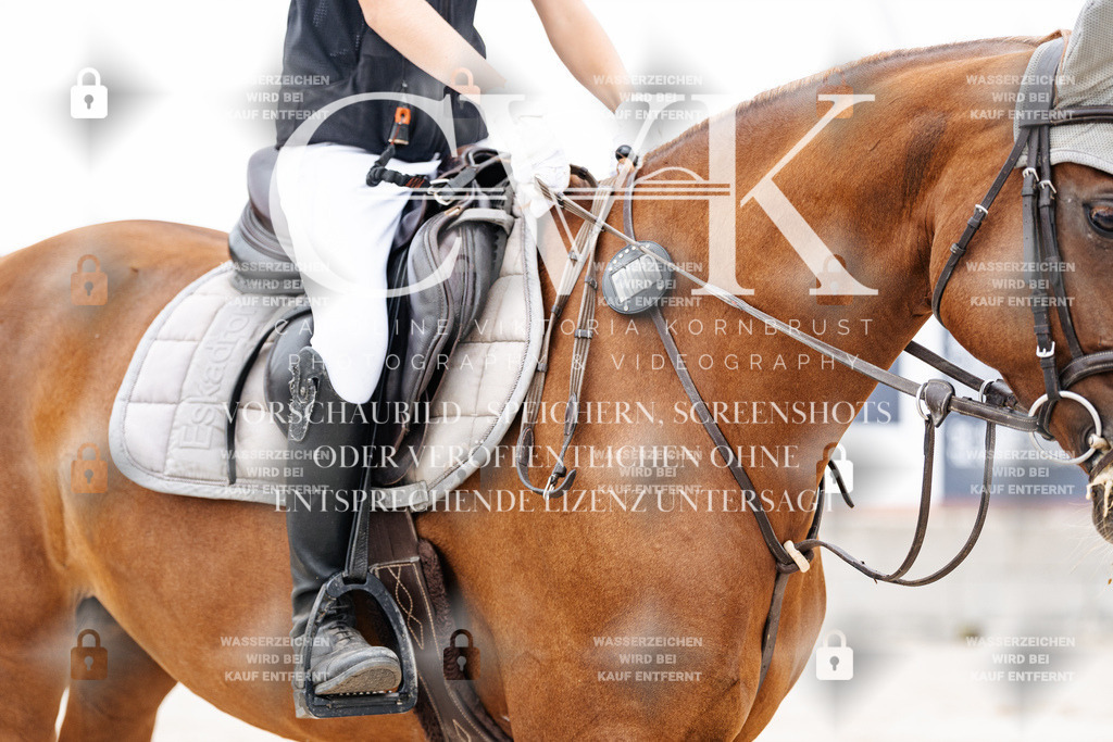 CK908430 | Turnierfotografie Pferdefotografie Trier Rheinland-Pfalz Pferdesport Reitsport Tierfotografie Sportfotografie Pferdevideo Pferdevideografie Equestrianvideography equestrianphotography  - Realisiert mit Pictrs.com