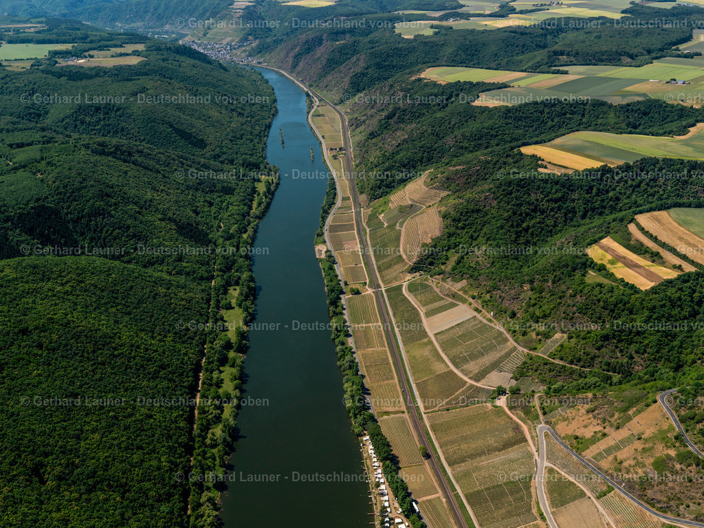 Weinberge-Mosel bei-Pommern-3114588 | Weinberge und Mosel bei Pommern