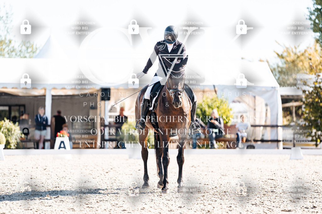 CK908688 | Turnierfotografie Pferdefotografie Trier Rheinland-Pfalz Pferdesport Reitsport Tierfotografie Sportfotografie Pferdevideo Pferdevideografie Equestrianvideography equestrianphotography  - Realisiert mit Pictrs.com