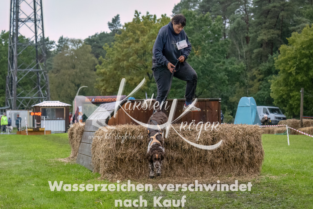 1216--2 | kk-dogfotos