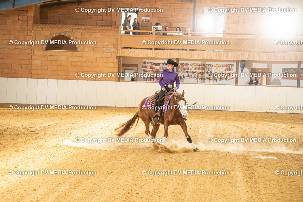 MIT00354 | dv-media-shop - Realisiert mit Pictrs.com