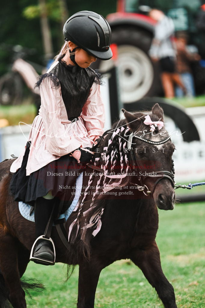 DSC_7435 | Pferde- und Turnierfotografie in Westsachsen. Pferdeportraits, Auftragszeichnungen und intuitive Kunst.