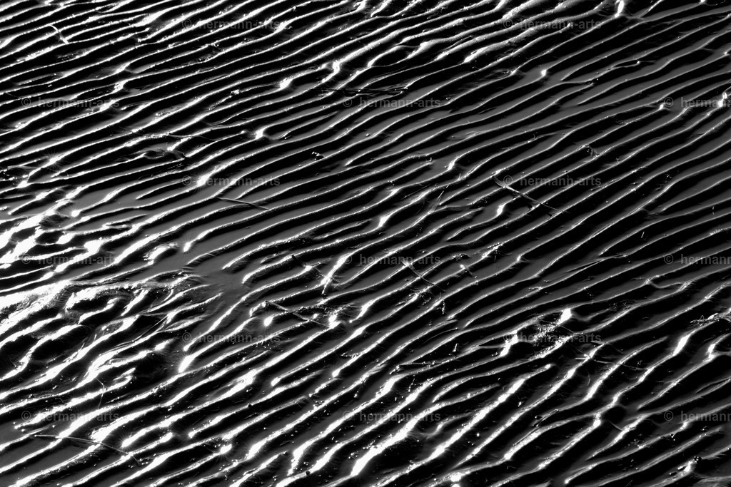 Hermann-Arts_Seaside_001 | Photo Foto Kunst Art schwarzweiss Bilder Rheine Münster Berlin Blumen 