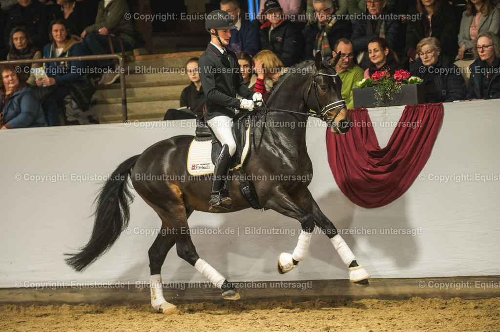 20240302_Hengstvorstellung_Marbach_TOMsPiC_0399-2 | equistock