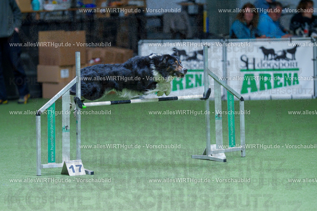 @allesWIRTHgut_Tierfotografie - www.allesWIRTHgut.de - 2604251205-7R500823 | Professionelle Tierfotografie in Mönchengladbach von Daniel Wirth (allesWIRTHgut). Liebevolle & natürliche Bilder von Hunden & Katzen für unvergessliche Erinnerungen.