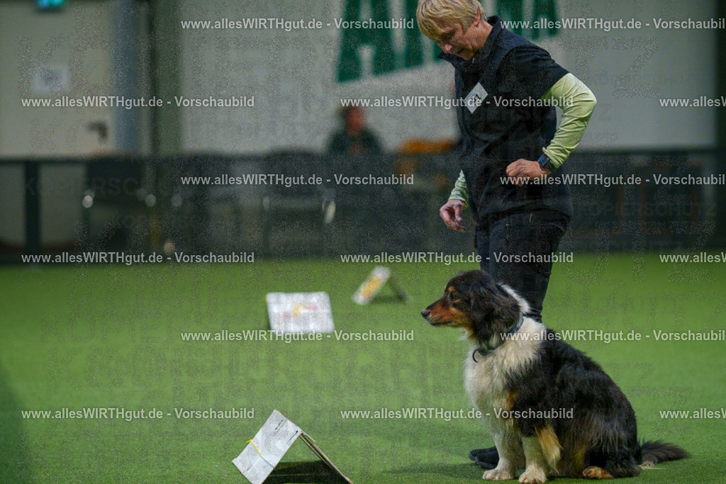 7R504250 | Professionelle Tierfotografie in Mönchengladbach von Daniel Wirth (allesWIRTHgut). Liebevolle & natürliche Bilder von Hunden & Katzen für unvergessliche Erinnerungen.
