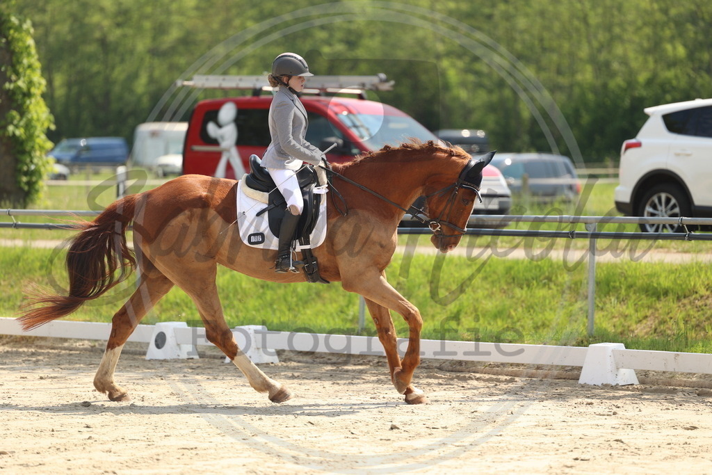 994A7129 | sabrinanicolaifotografie - Realisiert mit Pictrs.com