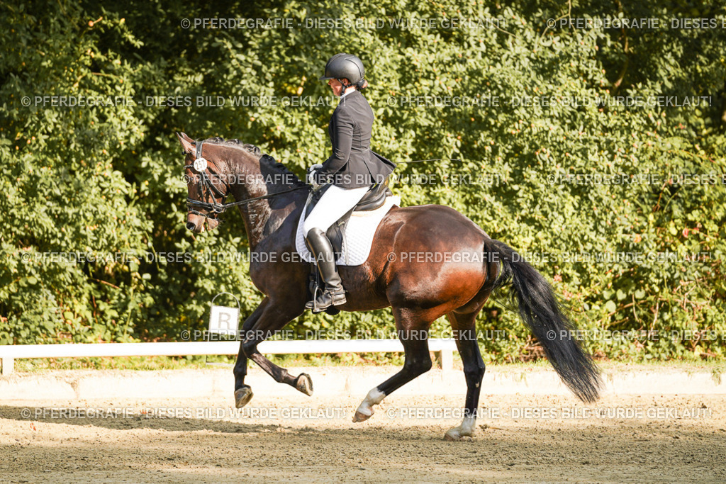 DSC05450 | Pferdegrafie